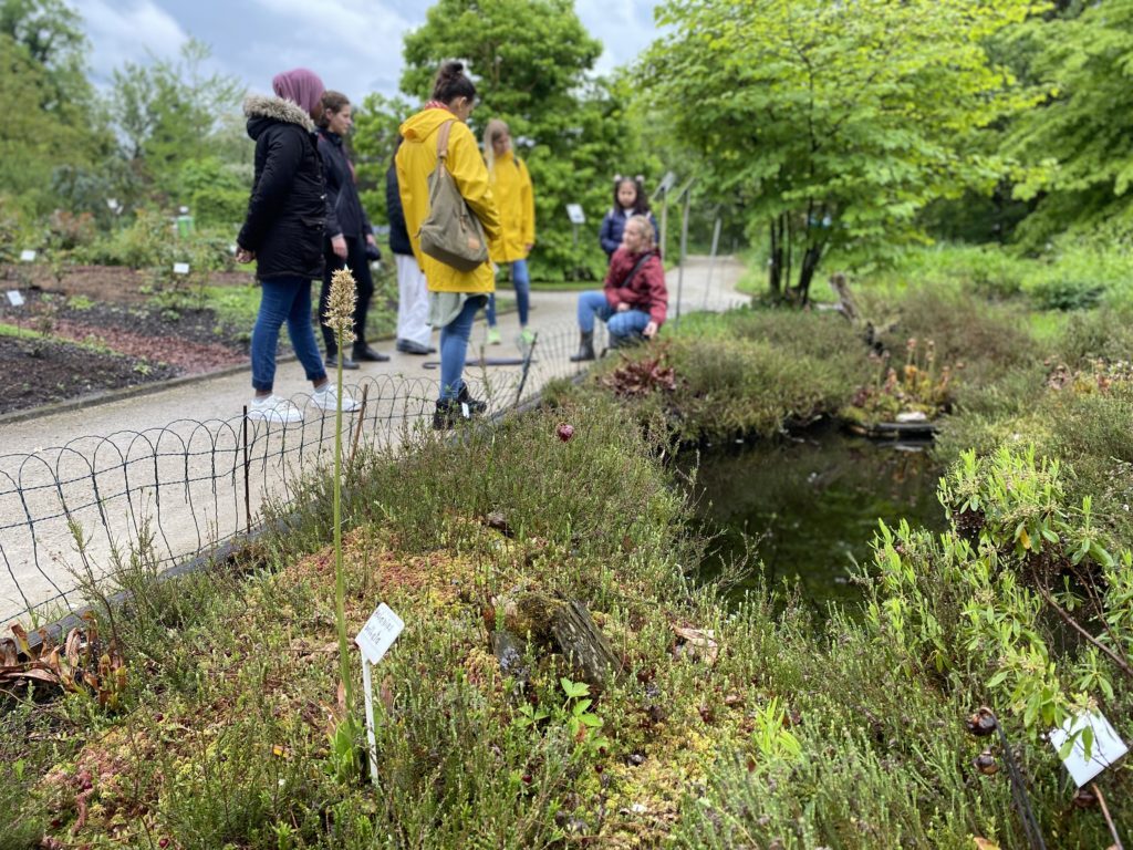 ifz_LmSch Grüne Schule Botanischer Garten 2022_05