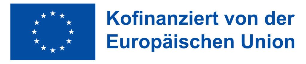 DE Kofinanziert von der Europäischen Union_PANTONE